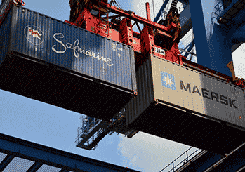 Containers%20359%20x%20245